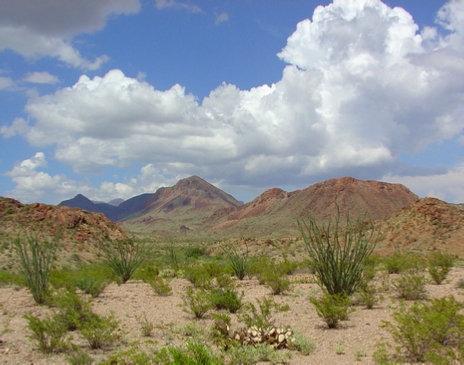Big Bend Desert - Left - by Bob Bickers, photo