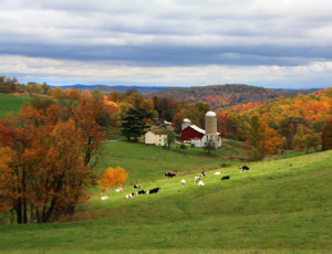 Pennsylvania Pasture - by Bob Bickers, photo
