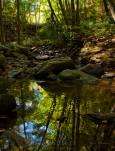 Downstream - by Bob Bickers, photo