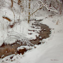 Snow Stream - by Bob Bickers, photo
