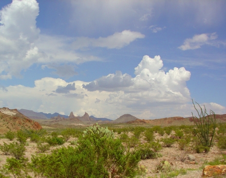 Big Bend Desert - Right - by Bob Bickers, photo