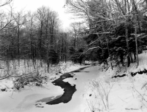 Winter in Duff Park - by Bob Bickeers, photo