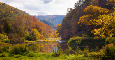 Pine Creek Autumn - by Bob Bickers, photo