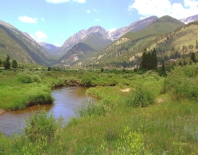 Rocky Mountain Summer - by Bob Bickers, photo